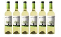 ¡Chollazo! Pack de 6 botellas de vino blanco Casa de la Ermita por sólo 16,60€