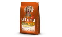 ¡Chollo! Ultima Pienso para Perros con pollo 7,50 kg por sólo 20,60€ al tramitar pedido