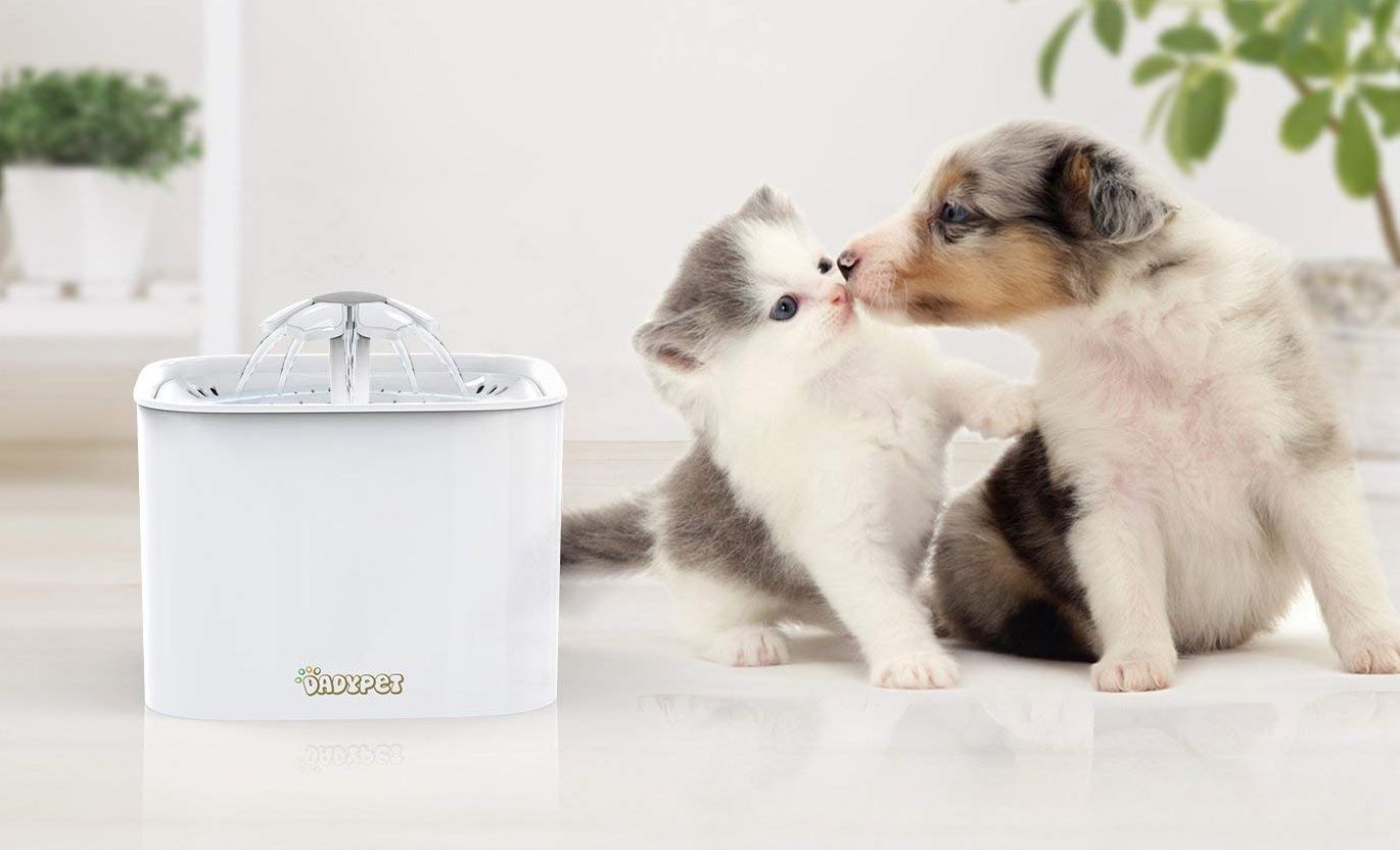 ¡Cupón Amazon! Bebedero automático tipo fuente para gatos y perros pequeños por 18,99€