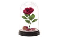 ¡Chollo! Lámpara Rosa Encantada de la Bella y la Bestia por sólo 19,84€ (antes 29,99€)