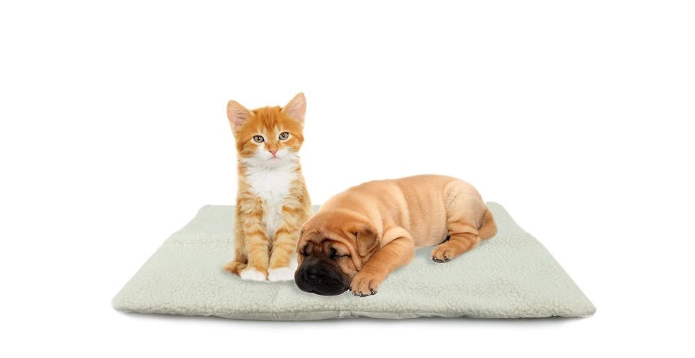 ¡Chollo! Cama para mascotas autocalefactable por sólo 9,38€ (antes 14,34€)