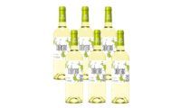 ¡Chollo! Pack de 6 botellas de vino blanco Cantarranas por sólo 17,70€ (antes 27,42€)