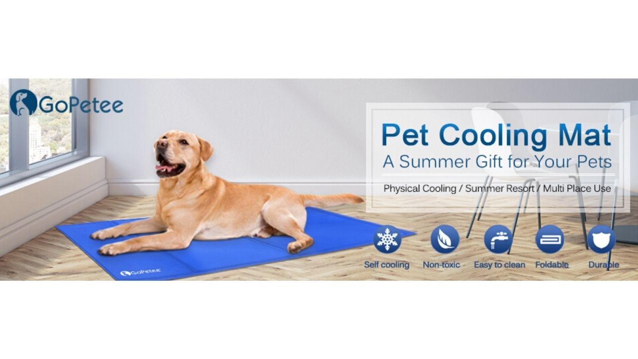 ¡Cupón! Alfombrilla de refrigeración para mascotas desde sólo 9,99€ (varios tamaños y diseños)
