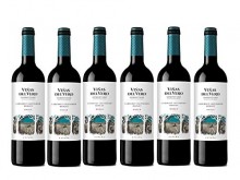 6 botellas de vino Viñas Del Vero Tinto Cabernet-Merlot
