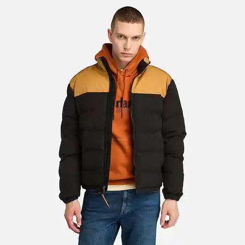 Chaqueta Acolchada impermeable Timberland Welch Mountain
