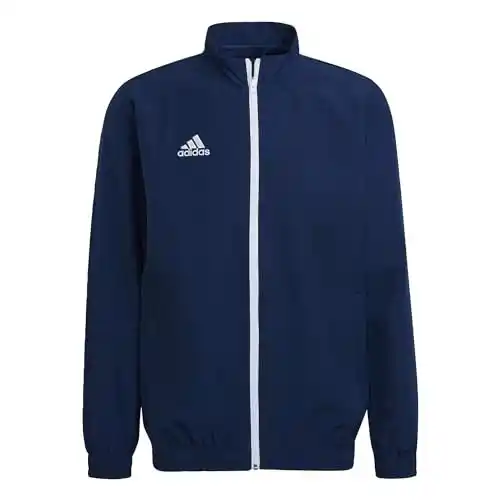 Chaqueta Adidas Entrada 22
