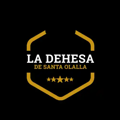 CUÑA DE QUESO GRATIS