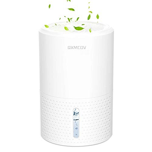 Deshumidificador eléctrico portátil de 900ml