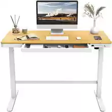 Mesa de Escritorio FLEXISPOT EW8 de 120X60cm - Altura Regulable con motor, Función Táctil y USB, con Cajón Grande