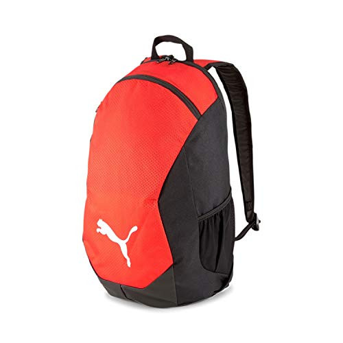 Mochila PUMA team FINAL 21 Backpack
