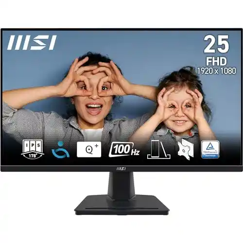 Monitor 24,5" FHD 100Hz MSI Pro MP252