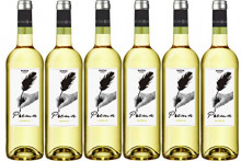 Pack 6 botellas de vino blanco Poema Verdejo D.O Rueda
