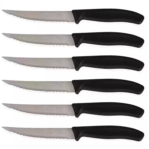 Pack de 6 cuchillos Quttin de Sierra 11cm Basic