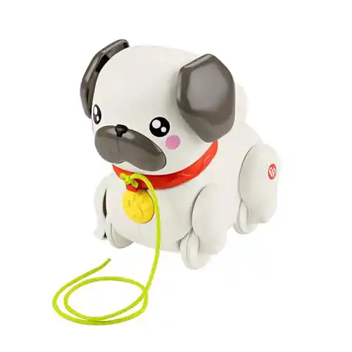 Perrito de Paseo Fisher-Price para niños