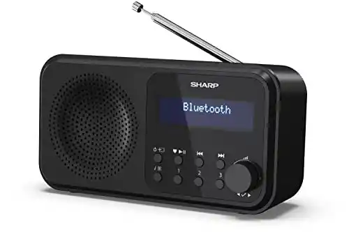 Radio Digital DAB+ Sharp DR-P420