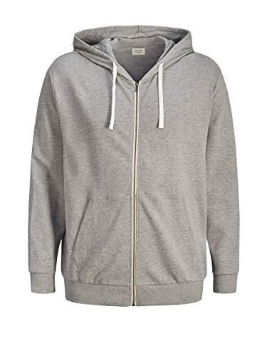 Sudadera Jack & Jones Jjeholmen Sweat Zip Hood Noos