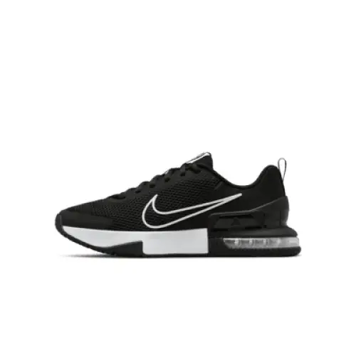 Zapatillas de training Nike Air Max Alpha Trainer 6