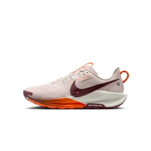Zapatillas Nike Pegasus Trail 5